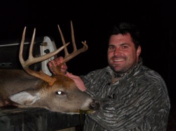 Deer Past