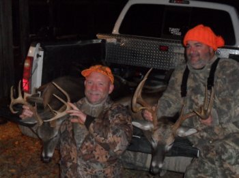 Deer Past