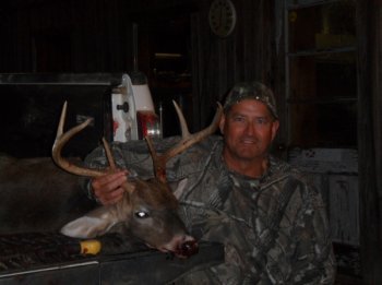 Deer Past