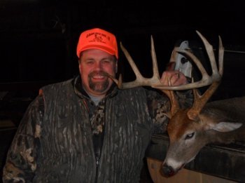 Deer Past