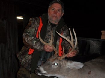 Deer Past