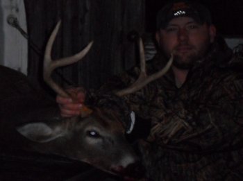 Deer Past