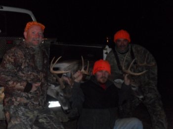Deer Past