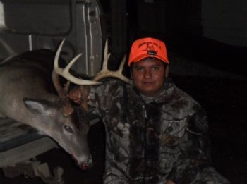 Deer Past