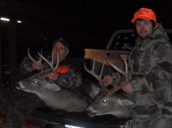Deer Past