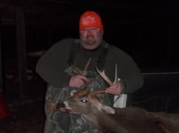 Deer Past
