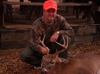 Deer Past