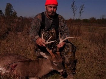 Deer Past