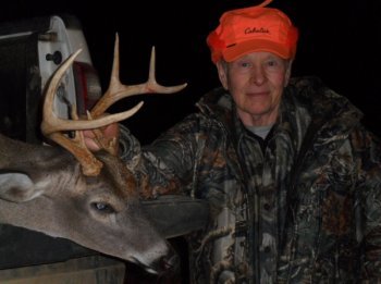 Deer Past