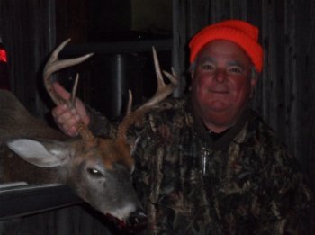 Deer Past