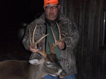 Deer Past