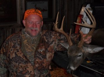 Deer Past