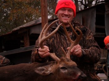 Deer Past