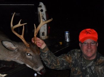 Deer Past