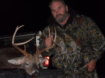 Deer Past