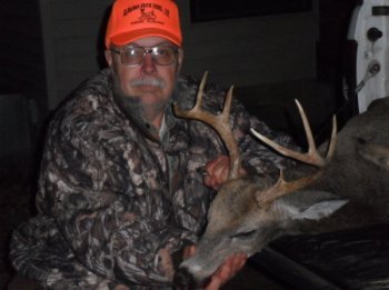 Deer Past