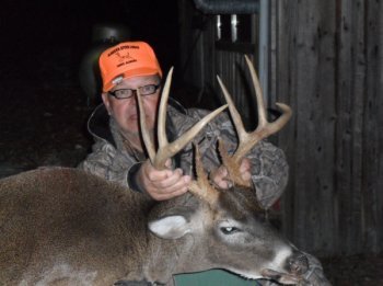 Deer Past