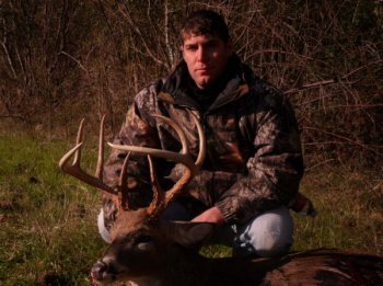 Deer Past