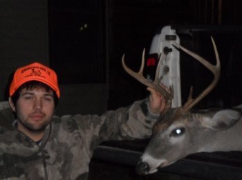 Deer Past