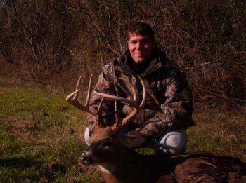 Deer Past