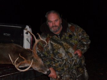 Deer Past