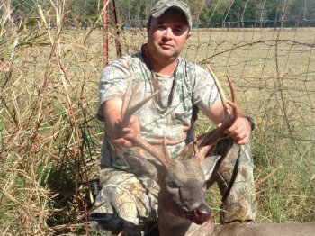 Deer Past
