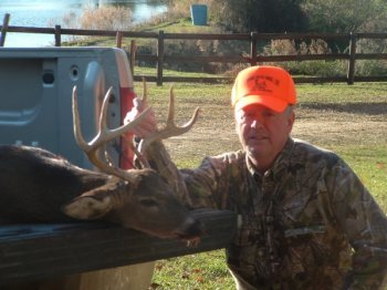 Deer Past