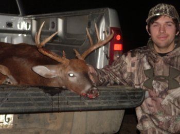 Deer Past