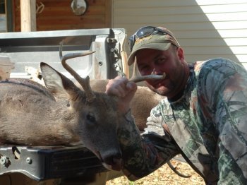 Deer Past