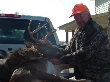 Deer Past