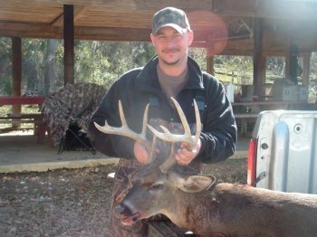 Deer Past
