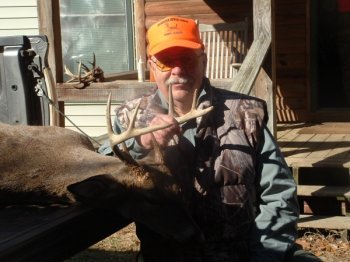 Deer Past