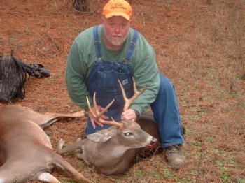 Deer Past