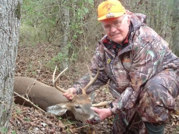 Deer Past