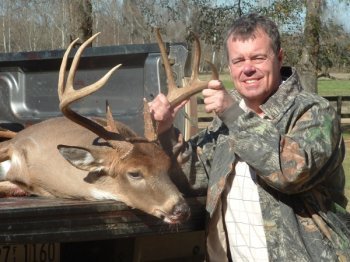Deer Past
