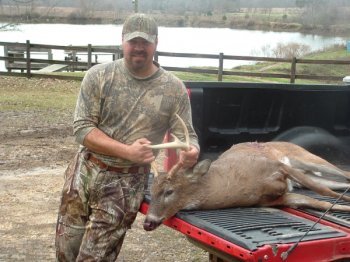 Deer Past