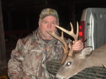 Deer Past