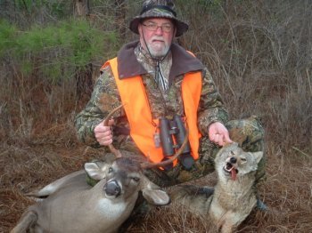 Deer Past