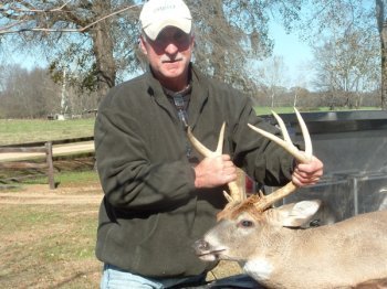 Deer Past