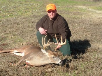 Deer Past