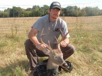 Deer Past