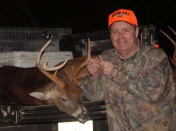 Deer Past
