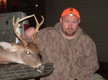 Deer Past