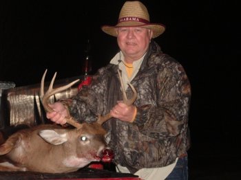 Deer Past