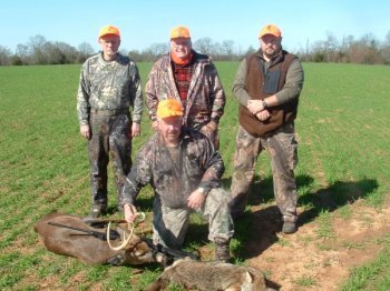 Deer Past