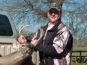 Deer Past