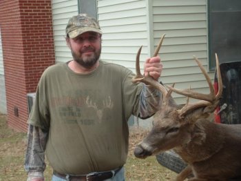 Deer Past