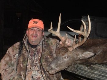 Deer Past