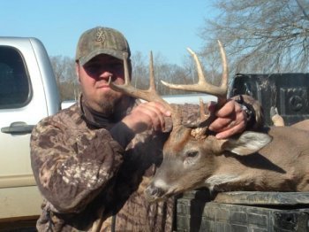 Deer Past