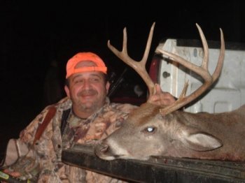 Deer Past